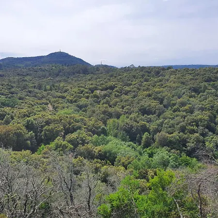 Σπίτι διακοπών La Bastide Bleue *